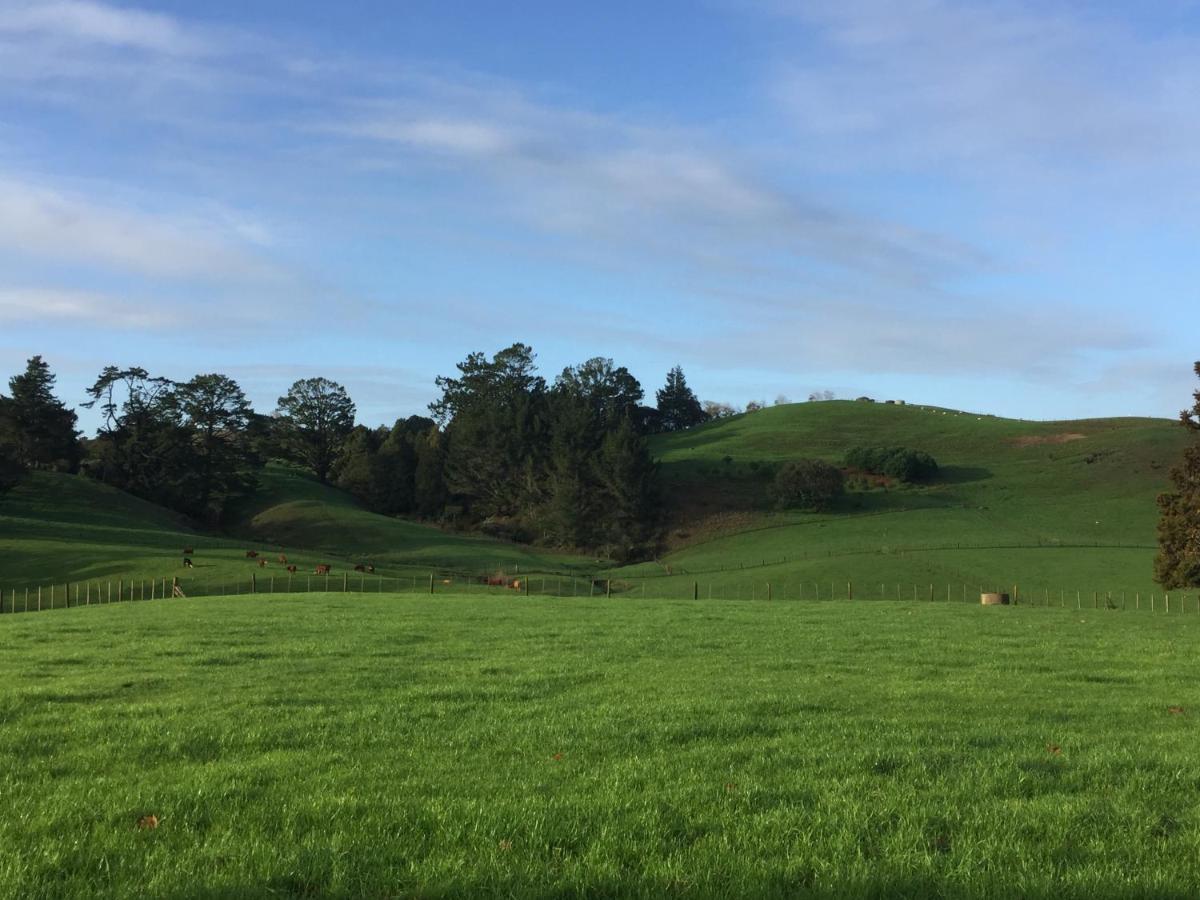 Veld View Bed And Breakfast Tuakau ภายนอก รูปภาพ