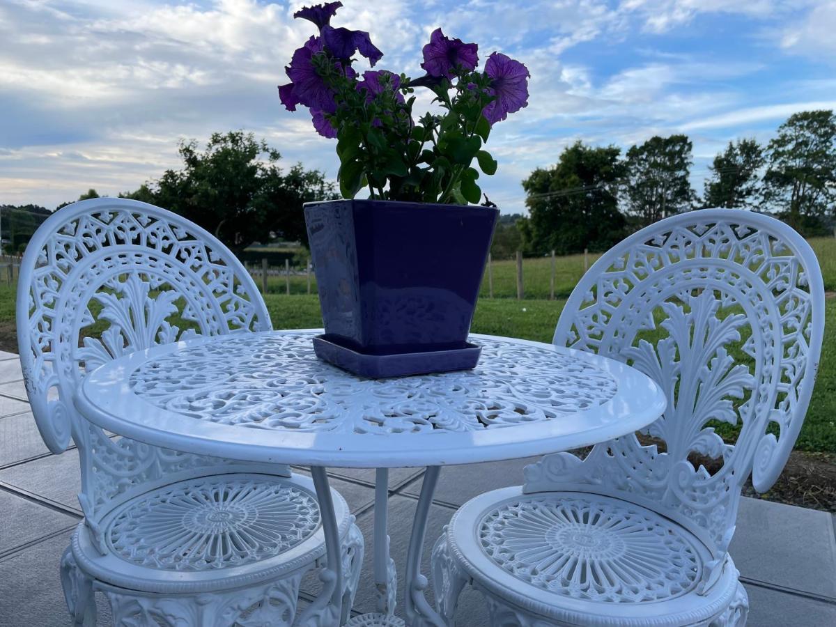 Veld View Bed And Breakfast Tuakau ภายนอก รูปภาพ